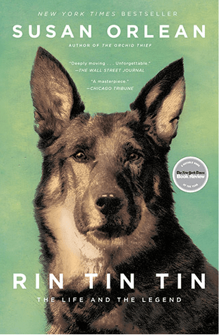 Rin Tin Tin