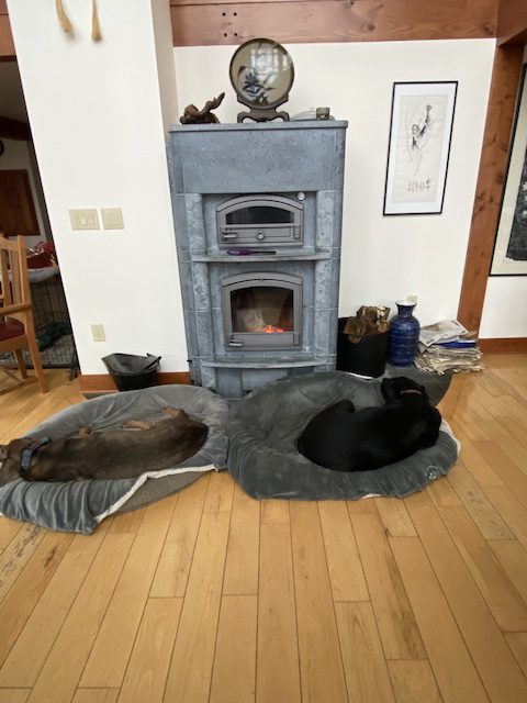 On cold wintry days, part of me wants to hibernate